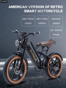 20 - дюймовый ретро - алюминиевый сплав мягкий хвост внедорожник 4.0 шины 750W48V электрический велосипед