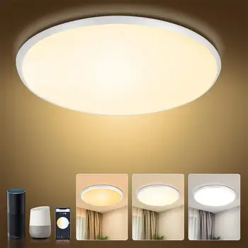 WIFI+זוג RGB LED מודרנית מנורת תקרה חכם ניתן לעמעום אור תקרת המטבח, חדר השינה, הסלון בקרת יישום עבודה אלקסה Google